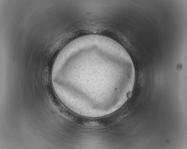 X0000114160594200911051507