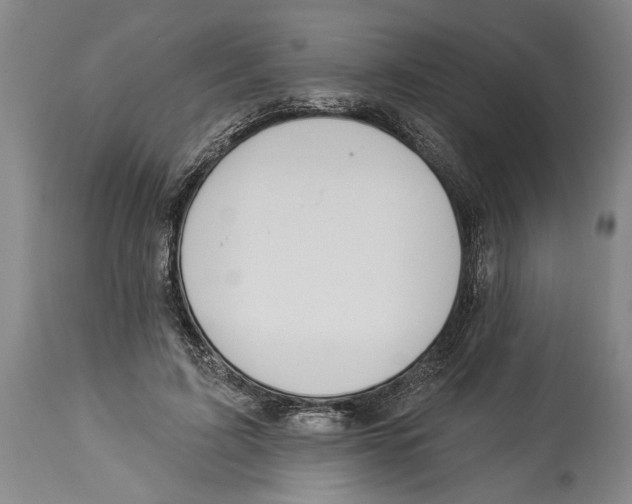 X0000114160595200911051507