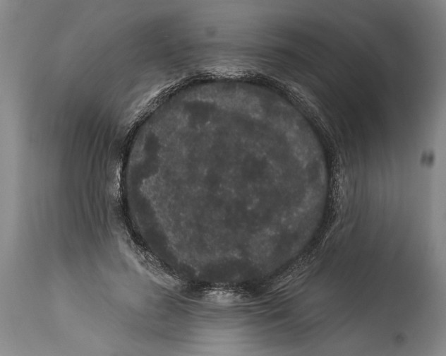 X0000114160596200911051507