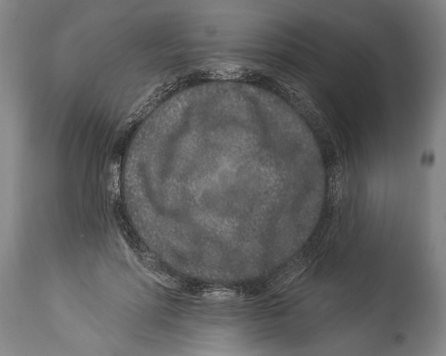 X0000114160598200911051507