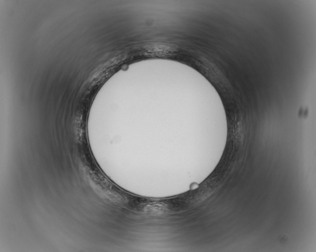 X0000114160599200911051507