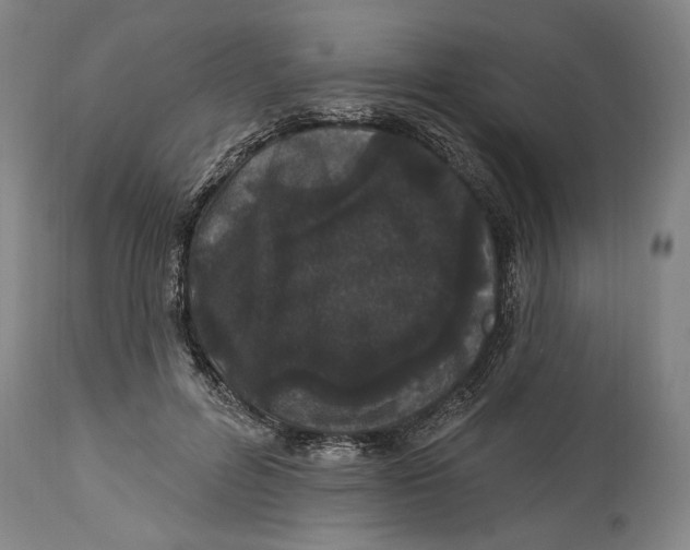 X0000114160600200911051507