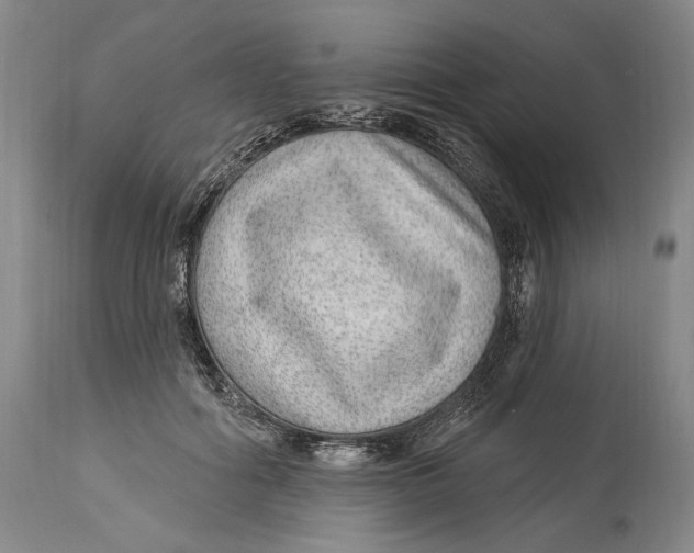 X0000114160602200911051507