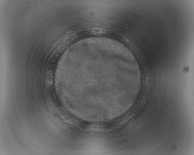 X0000114160606200911051507