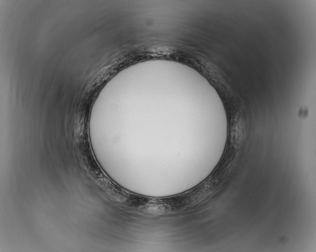 X0000114160608200911051507