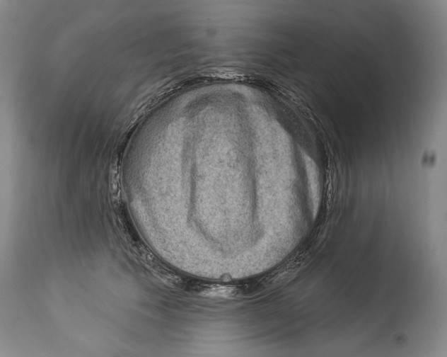 X0000114160609200911051507