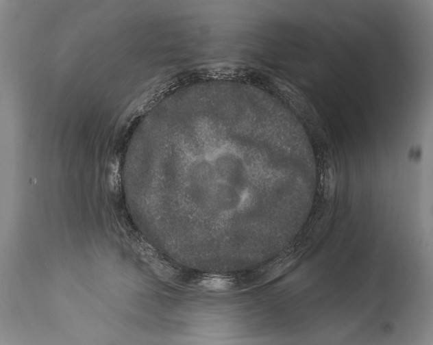 X0000114160610200911051507