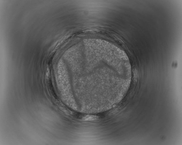 X0000114160617200911051507