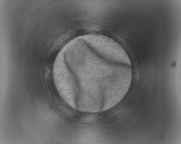 X0000114160618200911051506