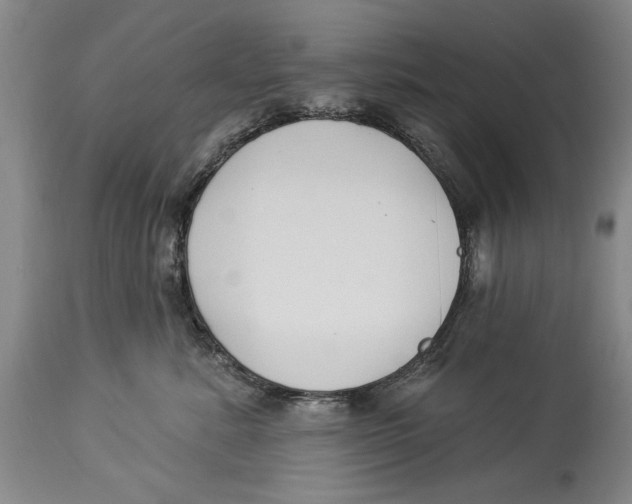 X0000114160619200911051506