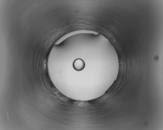 X0000114160621200911051506