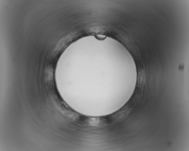 X0000114160623200911051506