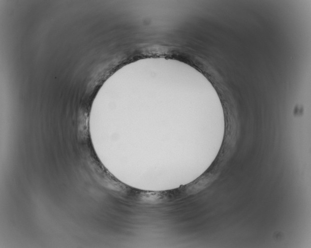 X0000114160624200911051506