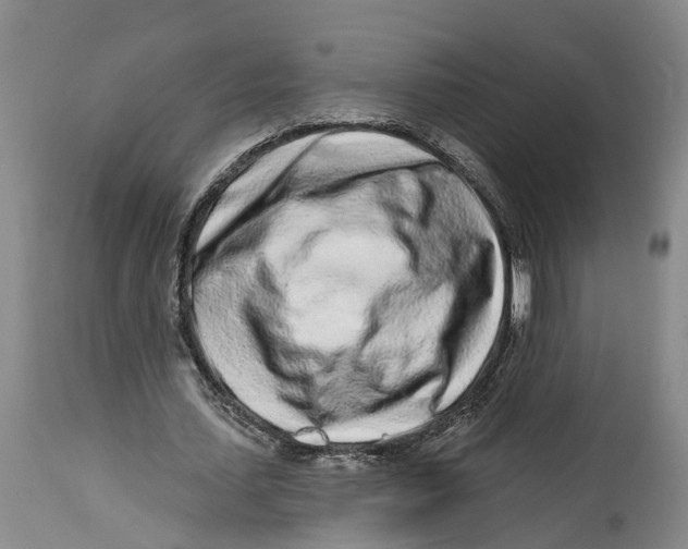 X0000114160627200911051506