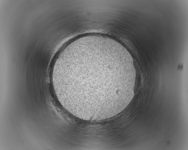 X0000114160628200911051506