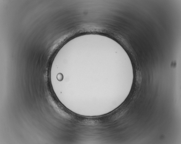 X0000114160629200911051506