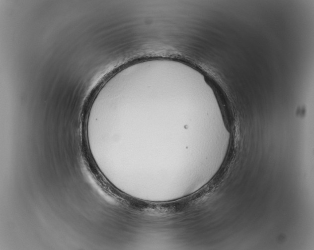 X0000114160630200911051506