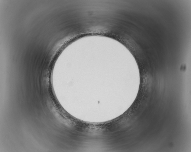 X0000114160632200911051506