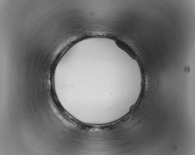 X0000114160634200911051506