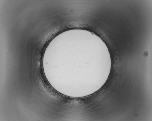 X0000114160635200911051506