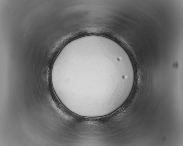 X0000114160637200911051506