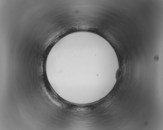 X0000114160638200911051506