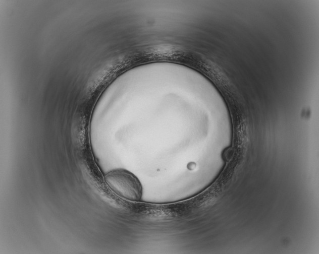 X0000114160642200911051506