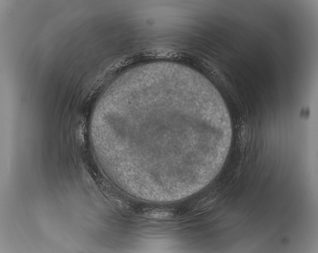 X0000114160643200911051506