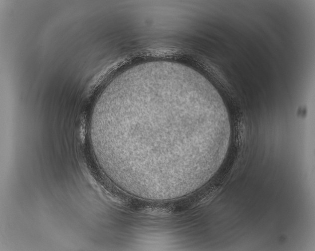 X0000114160644200911051506