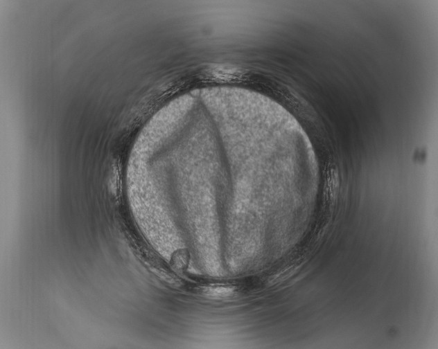 X0000114160651200911051506