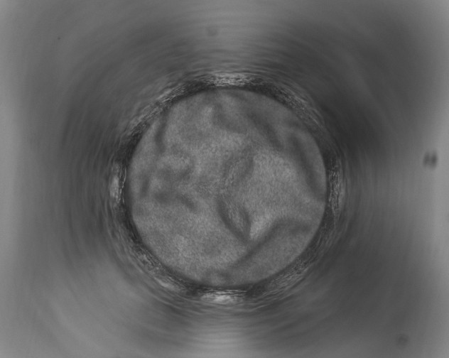 X0000114160655200911051506