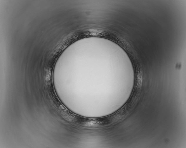 X0000114160657200911051506