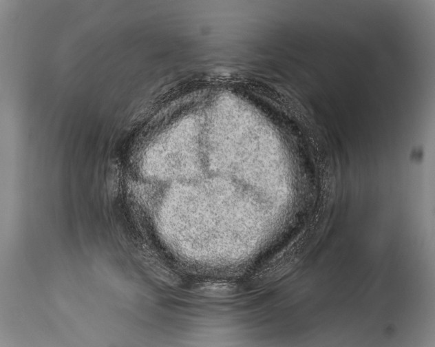 X0000114160659200911051506