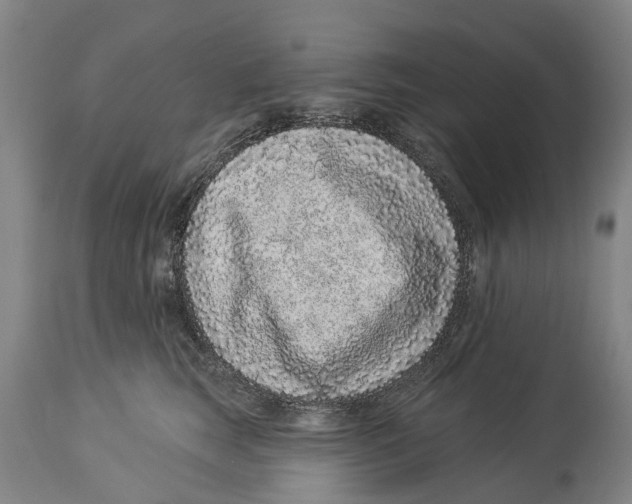 X0000114160663200911051506