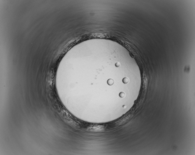 X0000114160665200911051506