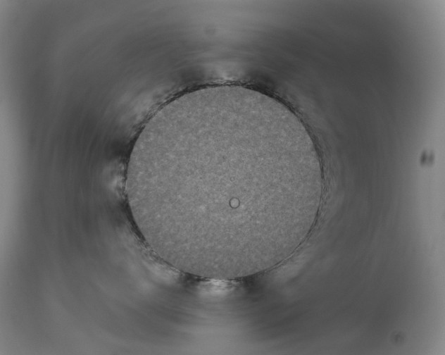 X0000114160672200911051506