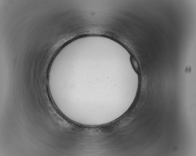 X0000114160673200911051506