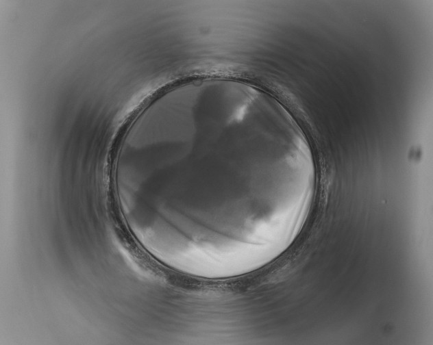 X0000114160674200911051506