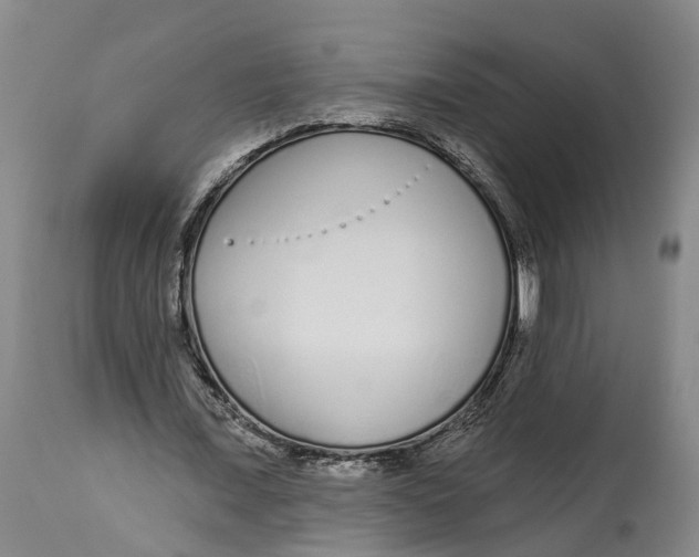 X0000114160675200911051506