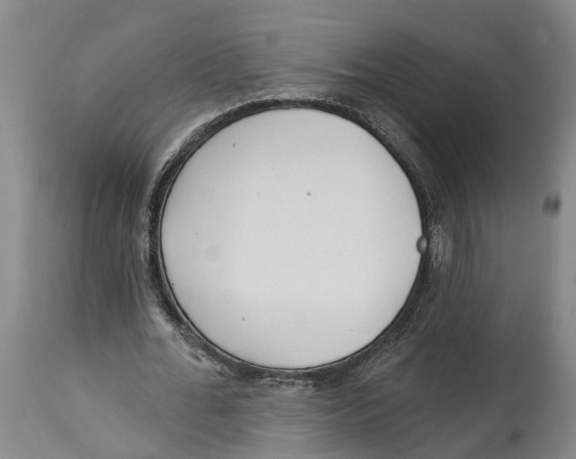 X0000114160676200911051506