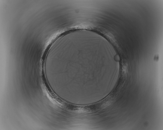 X0000114160678200911051505