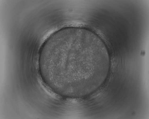 X0000114160679200911051505