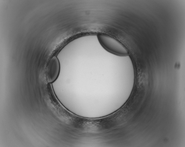 X0000114160680200911051505