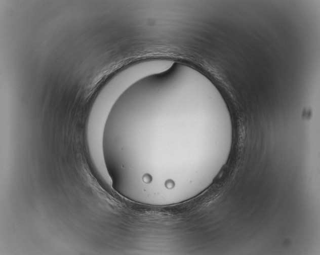 X0000114160681200911051505