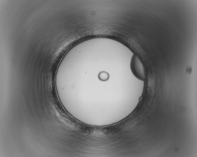 X0000114160684200911051505