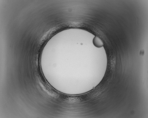 X0000114160686200911051505