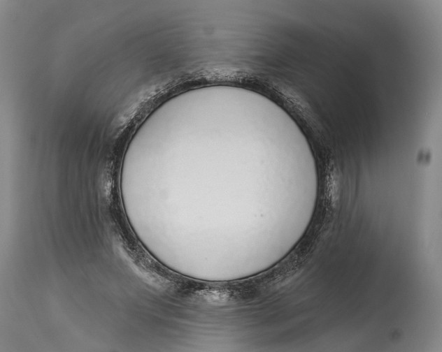 X0000114160687200911051505