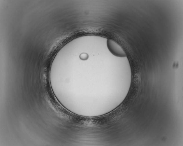 X0000114160688200911051505