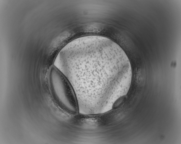 X0000114160692200911051505