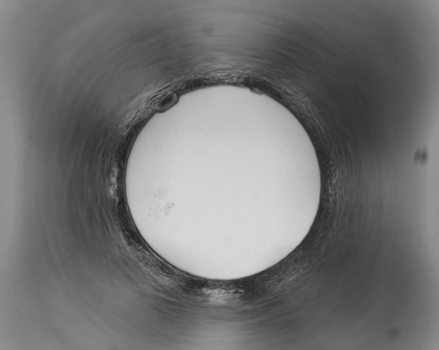 X0000114160693200911051505